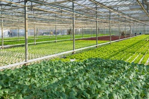 indoor growing system